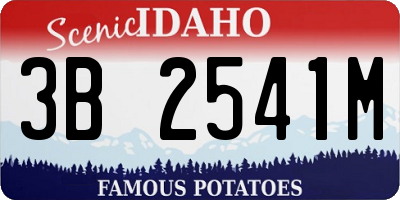 ID license plate 3B2541M