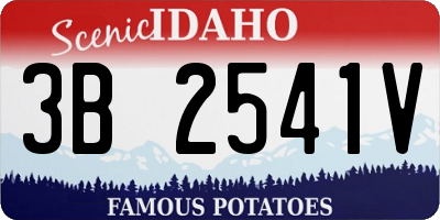 ID license plate 3B2541V