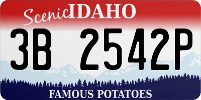 ID license plate 3B2542P