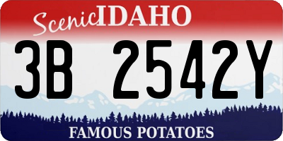 ID license plate 3B2542Y