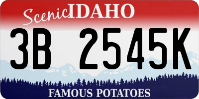 ID license plate 3B2545K