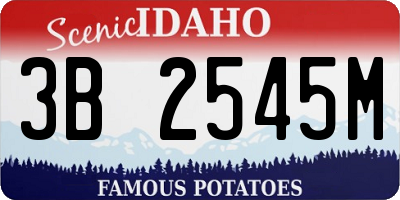 ID license plate 3B2545M