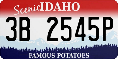 ID license plate 3B2545P