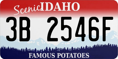 ID license plate 3B2546F