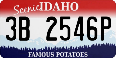 ID license plate 3B2546P