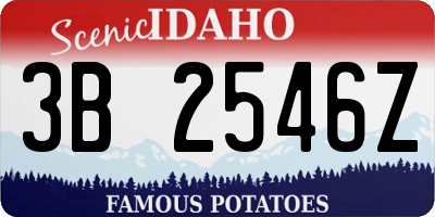 ID license plate 3B2546Z