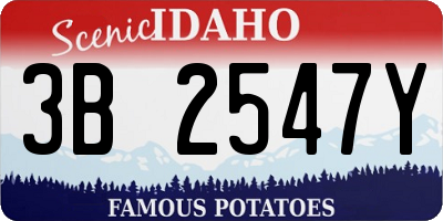 ID license plate 3B2547Y