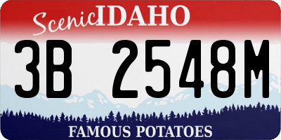 ID license plate 3B2548M