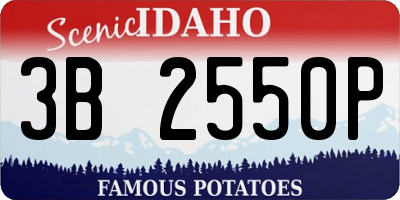 ID license plate 3B2550P
