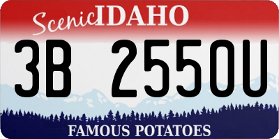 ID license plate 3B2550U