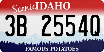 ID license plate 3B2554Q