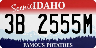 ID license plate 3B2555M