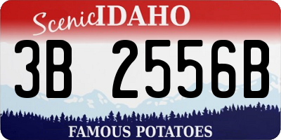 ID license plate 3B2556B