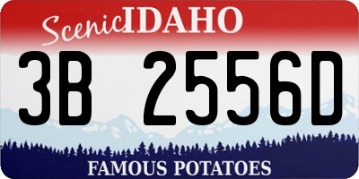 ID license plate 3B2556D
