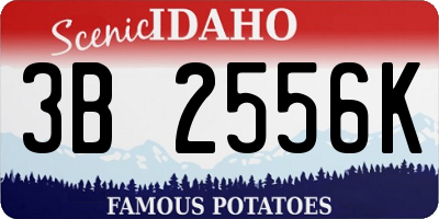 ID license plate 3B2556K