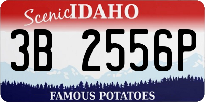 ID license plate 3B2556P