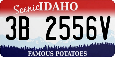 ID license plate 3B2556V