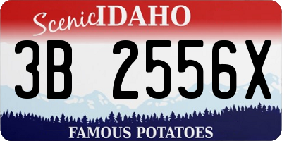 ID license plate 3B2556X