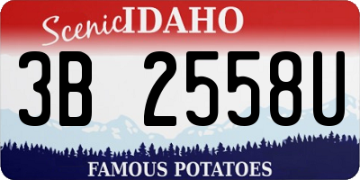 ID license plate 3B2558U