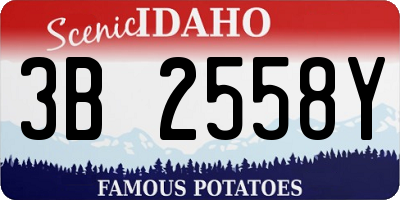 ID license plate 3B2558Y