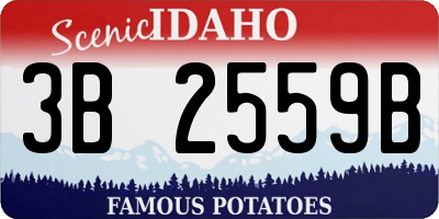 ID license plate 3B2559B