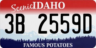 ID license plate 3B2559D