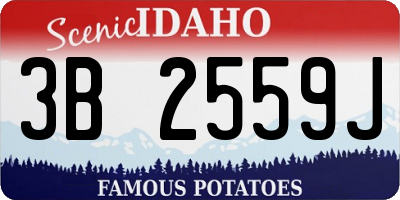 ID license plate 3B2559J