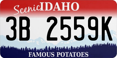 ID license plate 3B2559K