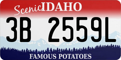 ID license plate 3B2559L