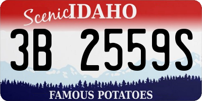 ID license plate 3B2559S