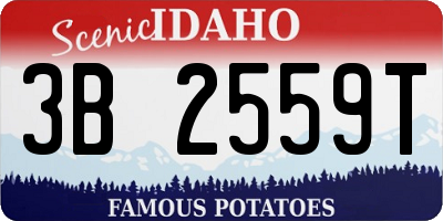 ID license plate 3B2559T