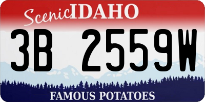 ID license plate 3B2559W