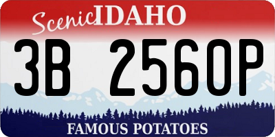 ID license plate 3B2560P