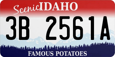 ID license plate 3B2561A