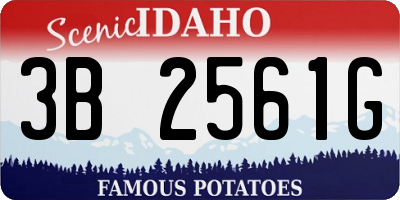 ID license plate 3B2561G