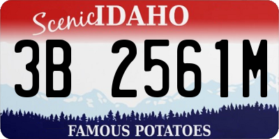 ID license plate 3B2561M