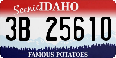 ID license plate 3B2561O