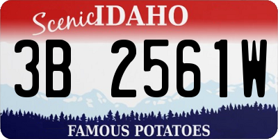 ID license plate 3B2561W