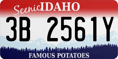 ID license plate 3B2561Y