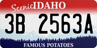 ID license plate 3B2563A