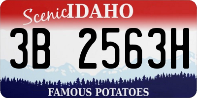 ID license plate 3B2563H