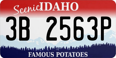 ID license plate 3B2563P