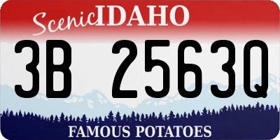 ID license plate 3B2563Q