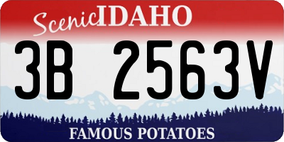 ID license plate 3B2563V