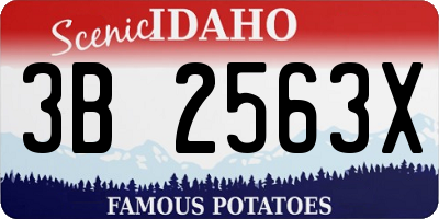 ID license plate 3B2563X