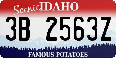ID license plate 3B2563Z