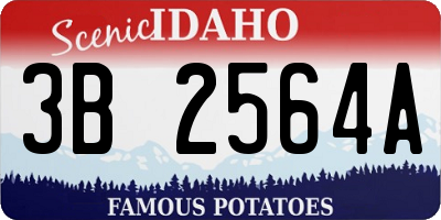 ID license plate 3B2564A