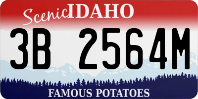ID license plate 3B2564M