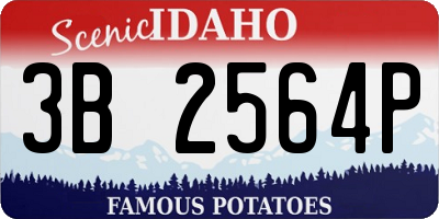 ID license plate 3B2564P