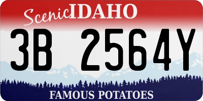ID license plate 3B2564Y